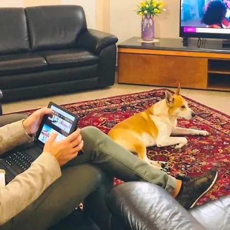 Hotel Daniel Basiano